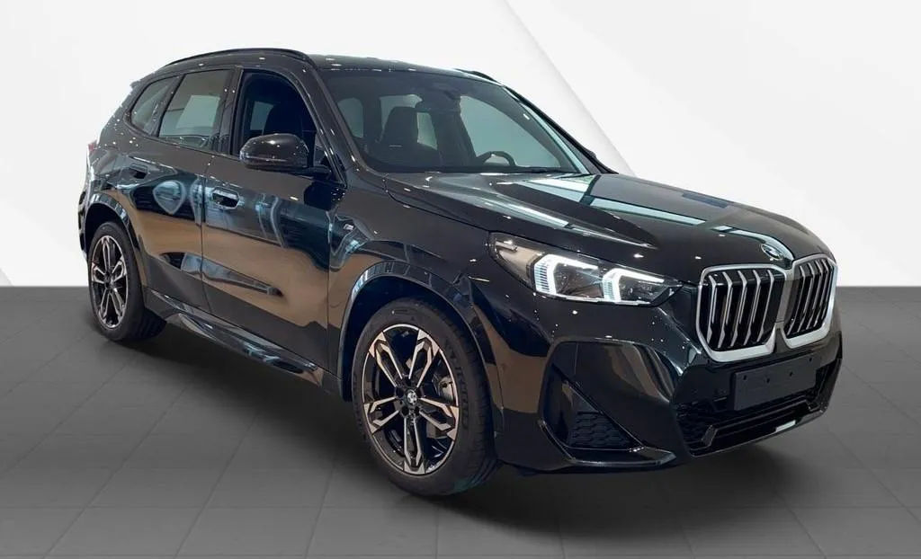 BMW X1 Image 2